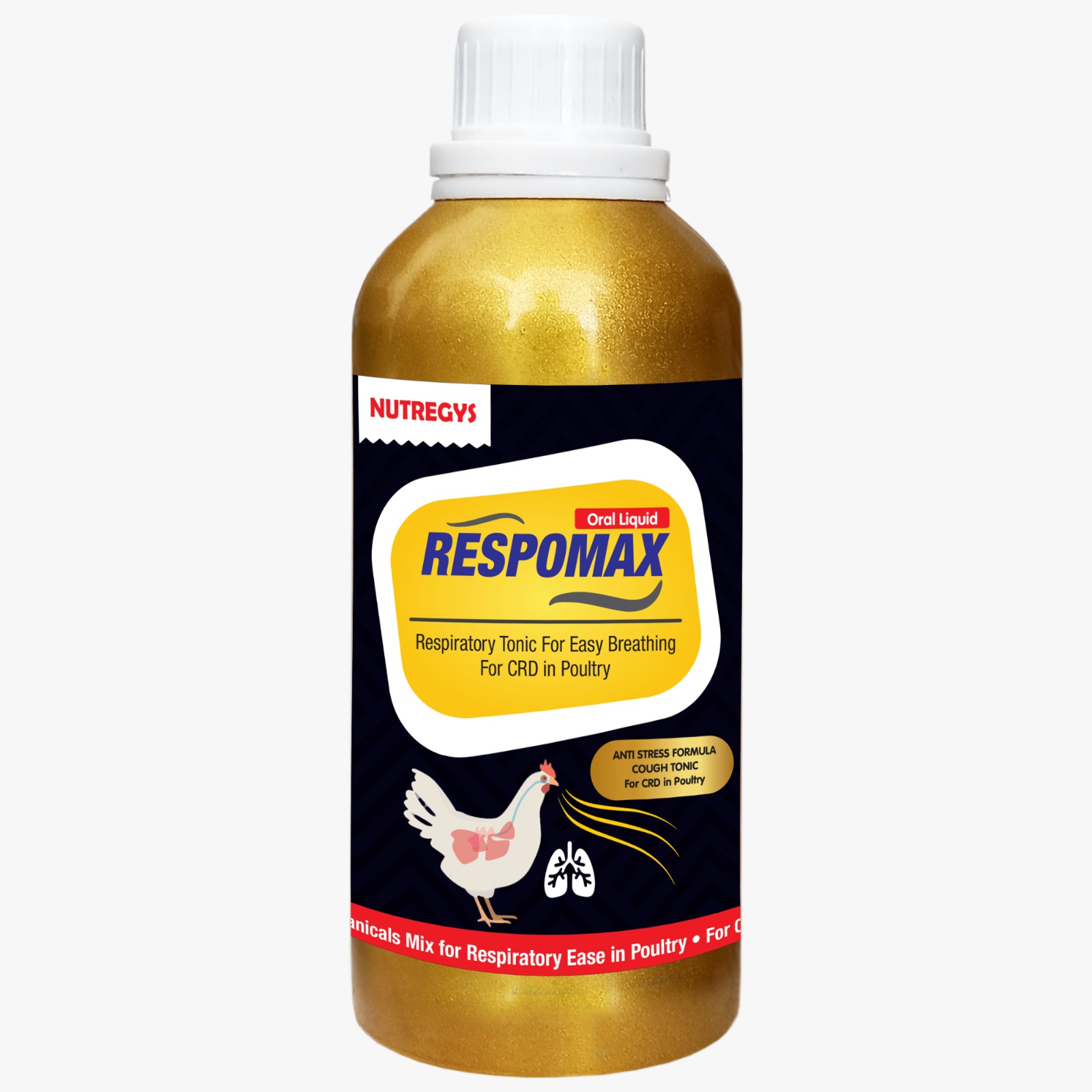 WhatsApp Image 2025-05-09 at 10.59.23 AM (1).jpeg